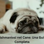 leishmaniosi cane
