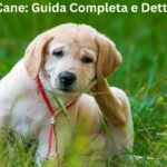 Tigna Cane