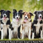 razze di cani
